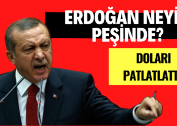 Erdoğan doları bilerek mi yükseltti?